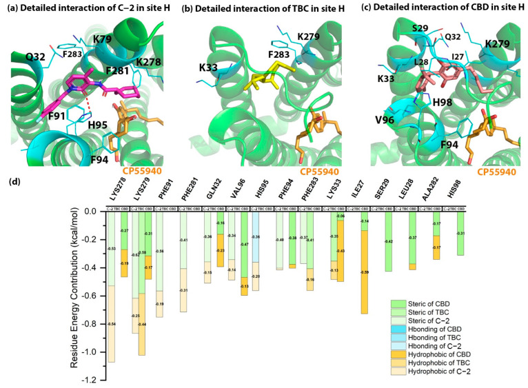 The detailed interactions and residue energy contribution of C-2, TBC and CBD in site H. (a) The detailed binding pose of C-2 in site H. (b) The detailed binding pose of TBC in site H. (c) The detailed binding pose of CBD in site H. (d) The comparisons of residue energy contribution of these AMs in site H.
