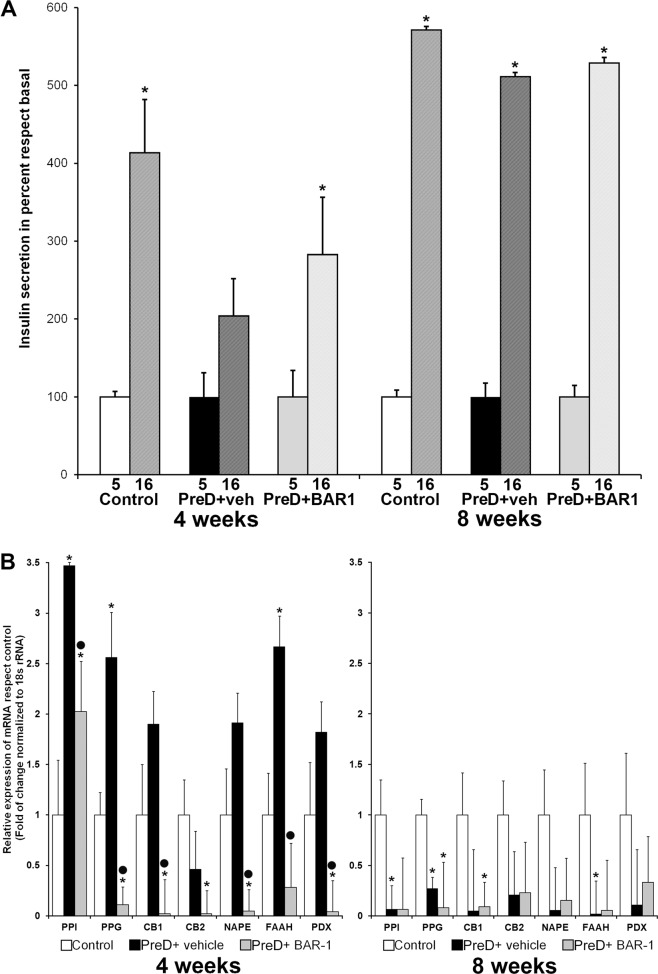 Glucose-induced insulin secretion and mRNA relative expression.Glucose-induced insulin secretion (a) and mRNA relative expression (b) in isolated islets from control and prediabetic mice of 4 and 8 weeks, with or without BAR-1 treatment. Insulin secretion was calculated in percent regarding basal 5 mM glucose for each group. mRNA relative abundance is expressed in fold of change regarding control islets. Data are presented as mean + SEM, n = 5 islets per condition for hormone secretion and n = 50 for mRNA expression, all determinations were performed in triplicate. *p < 0.05 vs. control, black dot vs. vehicle treated.