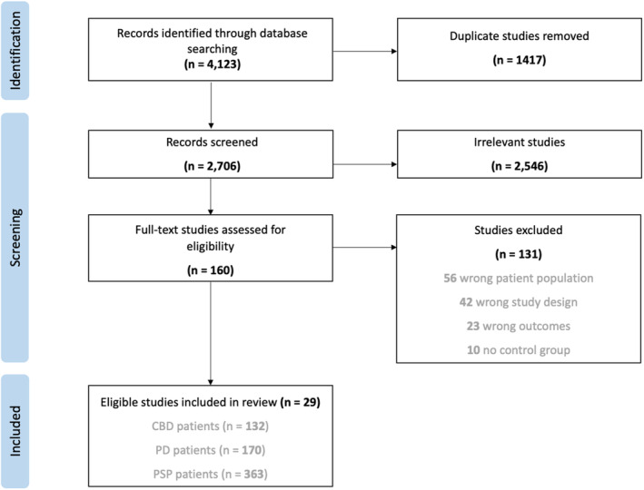 Preferred reporting items for systematic reviews and meta‐analysis (PRISMA) flow diagram.