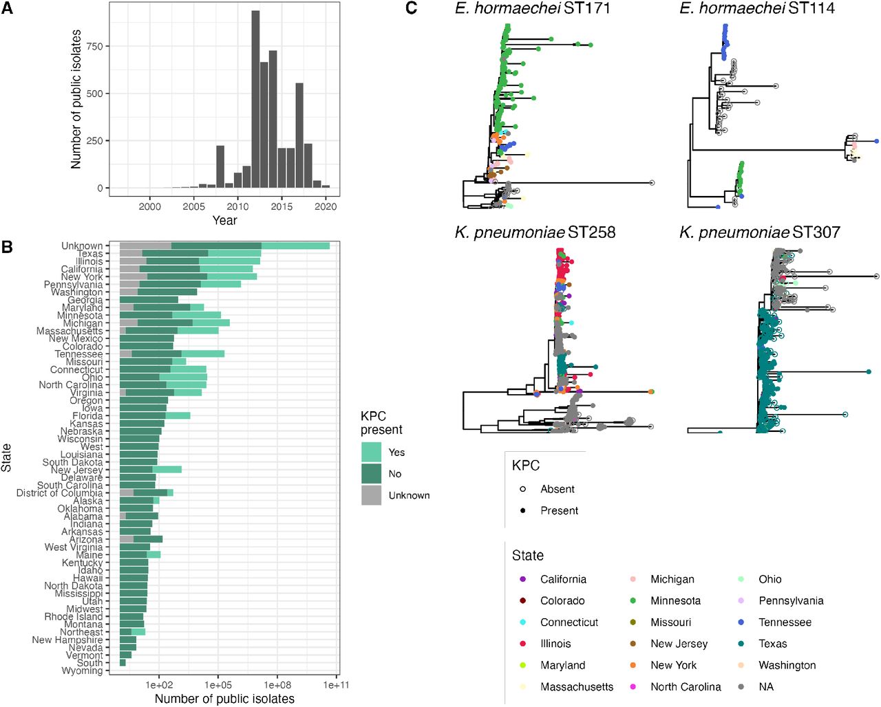Information about public isolates downloaded from the PATRIC database that were included for context in the investigation of importation.(A) Distribution of year of isolation for isolates where this information was provided. (B) Distribution of location and KPC presence/absence. (C) Phylogenies used to identify importation events, including isolates from this study. ST=sequence type.