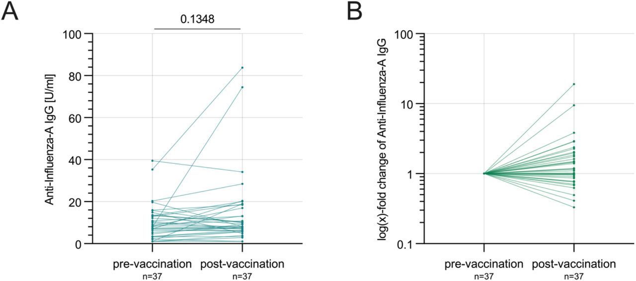 Anti-Influenza-A-Nucleoprotein/Matrix IgG before and after the seasonal Influenza vaccinationA) Anti-Influenza-A-Nucleoprotein/Matrix IgG levels in U/ml before and after the seasonal Influenza vaccination (absolute numbers)B) Relative change of Anti-Influenza-A-Nucleoprotein/Matrix IgG levels after the seasonal Influenza vaccination compared to the pre-vaccination assessment as baseline reference