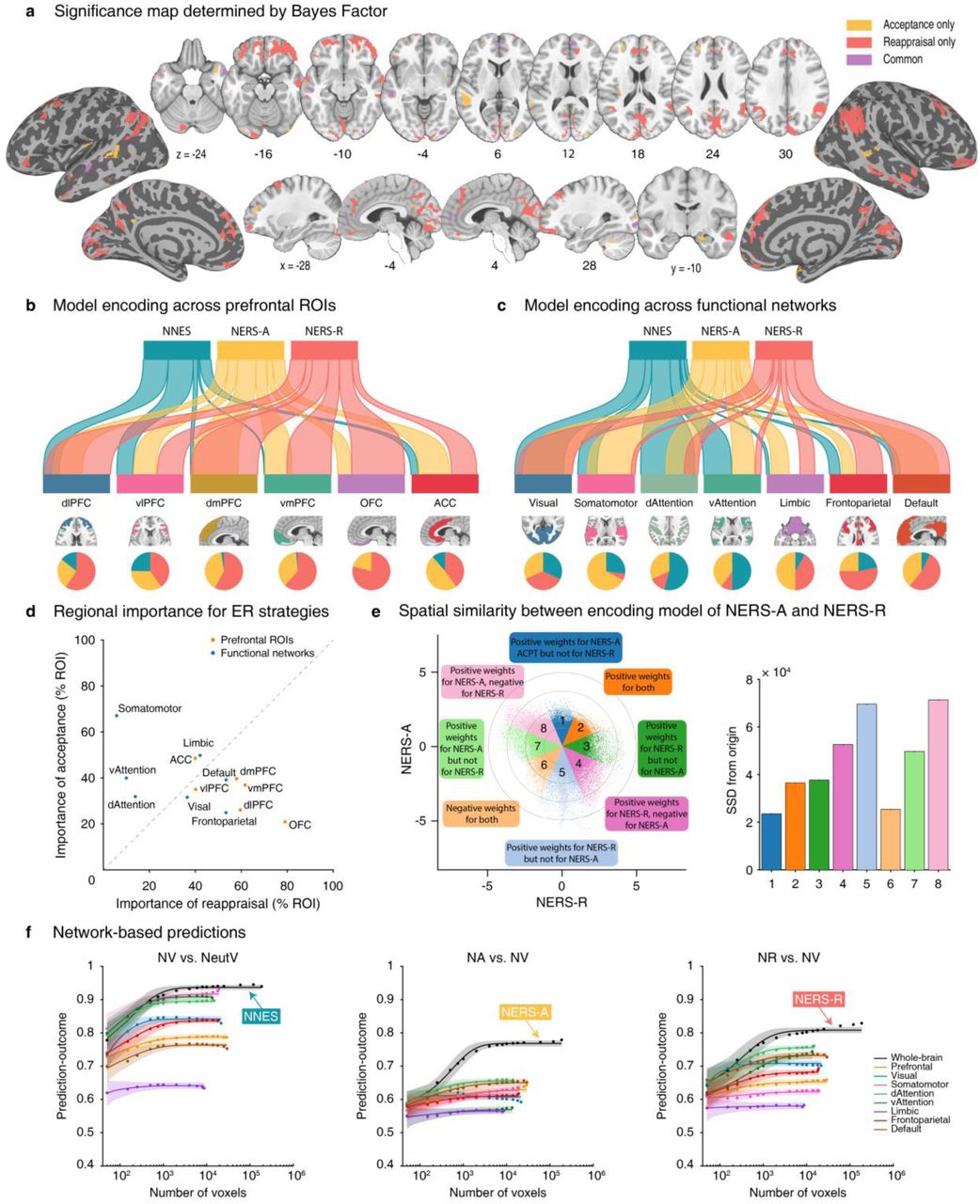 Comparing acceptance, reappraisal, and negative emotion signatures.a, Brain regions of the class of each voxel (Acceptance only, Reappraisal only, or Common). River plots illustrated the spatial similarity (cosine similarity) between reconstructed ‘activation pattern’ and anatomical parcellation of the prefrontal cortex66 (b) as well as resting-state-based functional parcellation of cortical regions67 (c). Reconstructed ‘Activation patterns’ were FDR q<0.05 thresholded and used positive voxels only for similarity calculation and explanation. In b and c, the thickness of the ribbons indicates the normalized maximum cosine between sets. The pie charts indicate the relative contributions of each pattern to each ROI (a) or network (b) (i.e., the percentage of voxels with the highest cosine similarity for each map). d, Regional importance scores for acceptance versus reappraisal. X-axis–reappraisal model importance (percentage of ROI or network occupied by the encoding model of reappraisal), y-axis– acceptance model importance (percentage of ROI or network occupied by the encoding model of acceptance). The gray line represents equal importance in both models; a greater distance between the points and the line indicates less equal importance in the two models. The region on the left side has a higher importance for acceptance than for reappraisal, and on the right side is the opposite. e, Voxel-level spatial similarity between the encoding model of NERS-A and NERS-R. Scatter plots illustrate normalized unthresholded voxel beta weights of the reconstructed ‘activation pattern’ of NERS-A (y-axis) and NERS-R (x-axis). Colored octants indicate voxels of shared positive (Octants 2) or shared negative (Octants 6), selective positive weights for NERS-A (Octant 1) or NERS-R (Octant 3), selective negative weights for NERS- A (Octant 5) or NERS-R (Octant 7), and voxel weights opposite for the two signatures (Octants 4 and 8). The right bars indicate the sum of squared distances from the origin (0, 0) for each octant, which integrates the number of voxels and combined weights. f, Regulating or experiencing naturalistic negative emotions is distributed across multiple systems. The model performance was evaluated as increasing numbers of voxels/features (x-axis) were selected to predict experience naturalistic negative emotions (NV vs. NeutV), use acceptance (NA vs. NV), and reappraisal (NR vs. NV) strategy in different ROIs including the whole brain (black), prefrontal cortex (light orange), or individual large-scale cerebral networks (other colored lines). The y-axis denotes the cross-validated classification accuracy. Colored dots indicate the mean correlation coefficients, solid lines indicate the mean parametric fit, and shaded regions indicate the s.d. dlPFC, dorsolateral prefrontal cortex; vlPFC, ventrolateral prefrontal cortex; dmPFC, dorsomedial prefrontal cortex; vmPFC, ventromedial prefrontal cortex; OFC, orbitofrontal cortex; ACC, anterior cingulate cortex; vAttention, ventral attention; dAttention, dorsal attention.