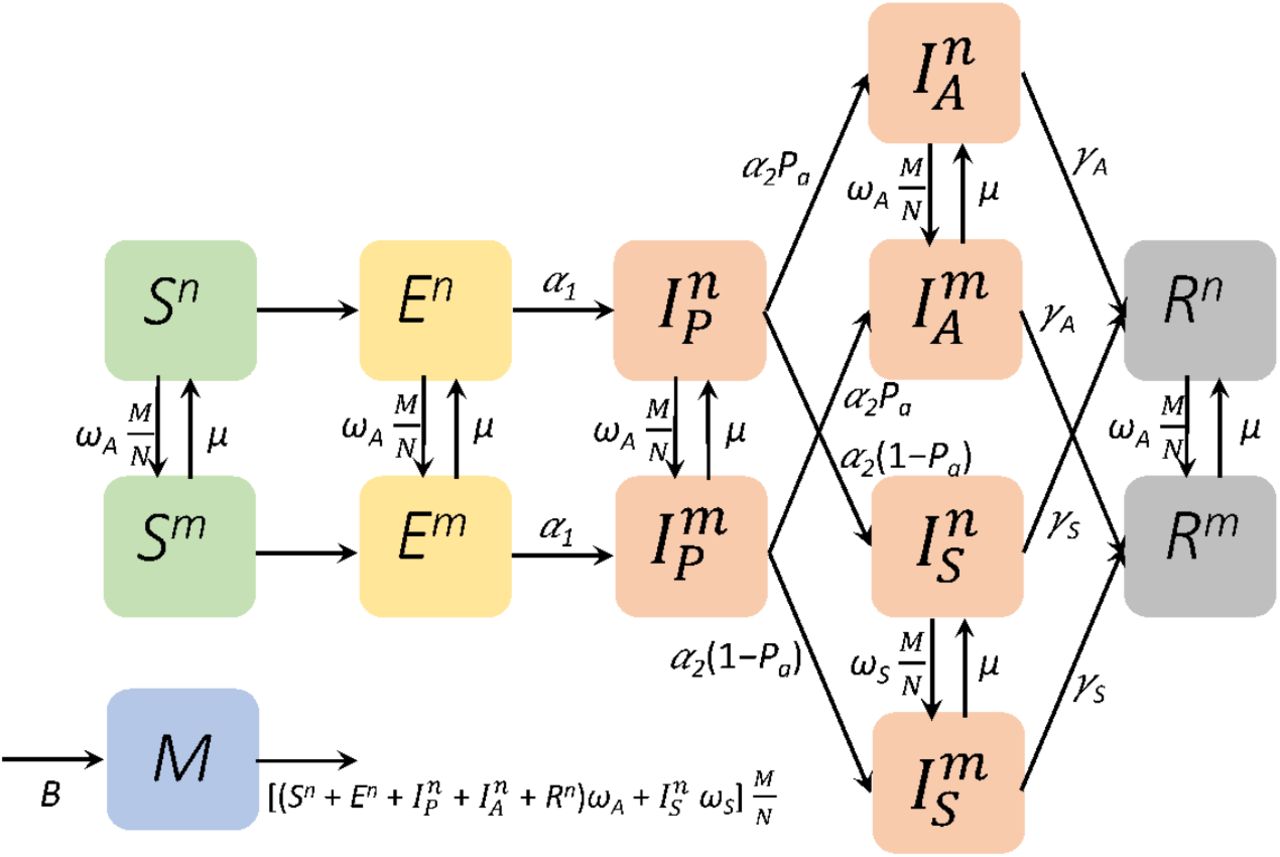 Scientific figure