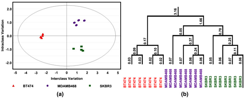 Effect of 4-oxo-DHA on Cell Transcription Factors. Levels of cell proliferation or apoptosis and associated target proteins in three human breast cancer cell lines (BT474, SKBR3, and MDAMB468); (a) orthogonal projections to latent structures-discriminant analysis (OPLS-DA) shows a 3-class supervised model and partition the sources of variation; (b) to visualize the misclassification rate, the dendrogram depicts hierarchical clustering patterns among three different cell lines.