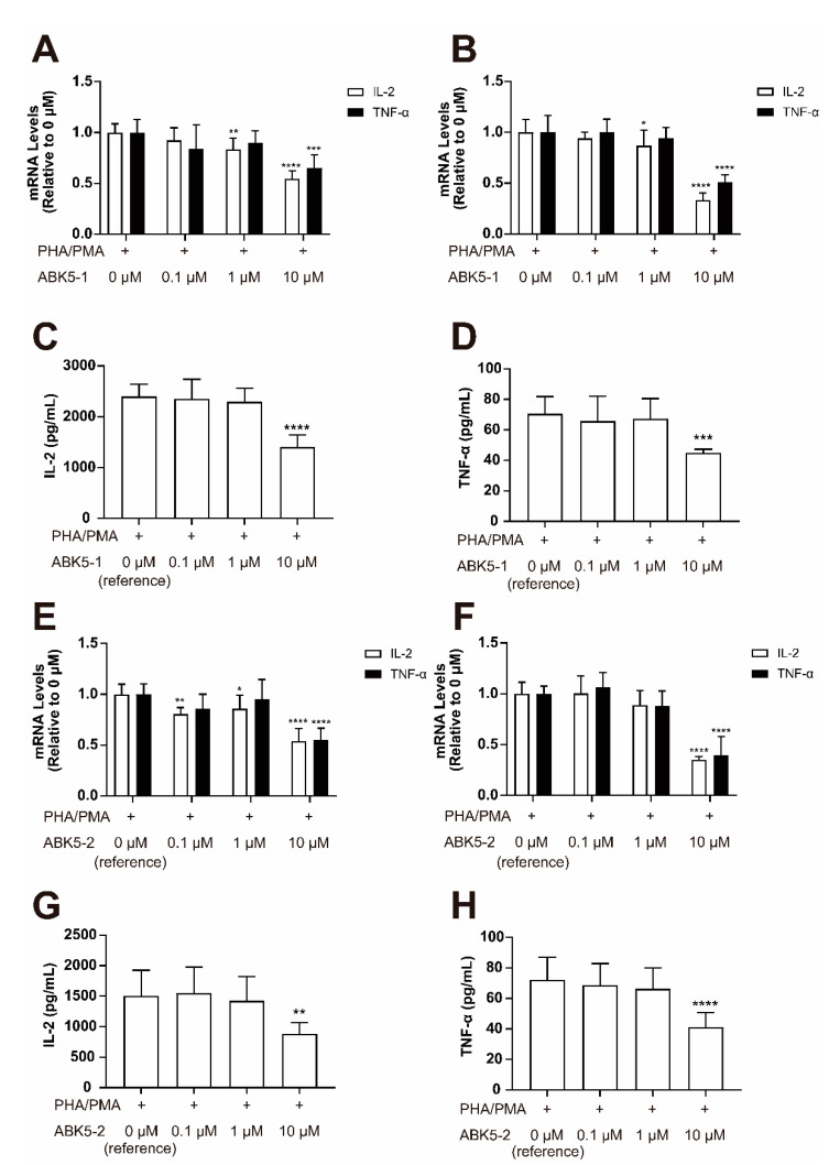 Effect of ABK5-1 and ABK5-2 on phytohemagglutinin (PHA)/phorbol 12-myristate 13-acetate (PMA)-induced cytokine production in T cells. Jurkat cells were pretreated with DMSO (<0.1%; indicated as 0 μM) or various concentrations of ABK5-1 (A–D) or ABK5-2 (E–H) and stimulated with PHA and PMA. IL-2 and TNF-α mRNA levels were determined by real-time PCR (RT-PCR) after ABK5-1 treatment and (A) 3 h and (B) 24 h of PHA/PMA (phytohemagglutinin/phorbol 12-myristate 13-acetate) stimulation. Protein levels of (C) IL-2 and (D) TNF-α were also examined after 24 h of stimulation. IL-2 and TNF-α mRNA were also examined after ABK5-2 treatment and (E) 3 h and (F) 24 h of stimulation, and protein levels of (G) IL-2 and (H) TNF-α were measured after 24 h stimulation. Results are indicated as the mean ± S.D. of three independent assays performed in triplicate for each concentration. One-way ANOVA and Dunnett’s post-hoc test were used and * p < 0.05, ** p < 0.01, *** p < 0.005, **** p < 0.0001 (versus reference).