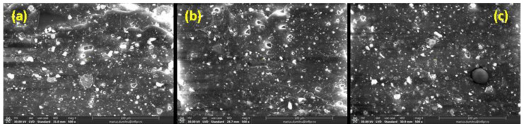 SEM micrographs of non-irradiated NR-C sample (a) and irradiated at 150 kGy (b) and 450 kGy (c) (magnification of 500).