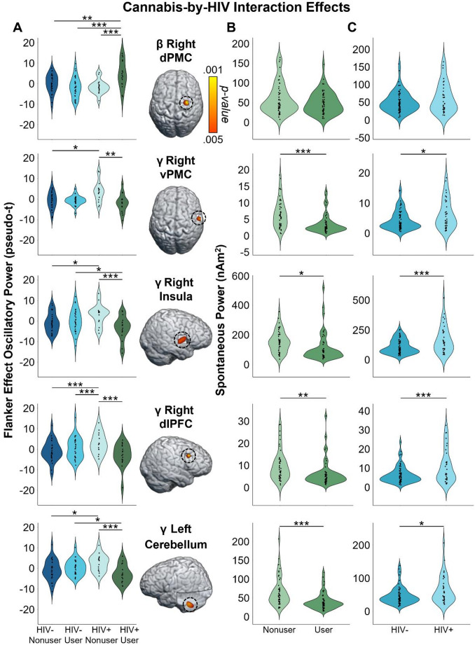 Cannabis use and HIV status interact to modulate whole-brain gamma and beta oscillatory and spontaneous power. Voxel-wise 2 × 2 ANOVAs on flanker interference maps revealed significant cannabis-by-HIV status interactions on beta power in the right dorsal premotor cortex (dPMC), and on gamma power in the right ventral premotor cortex (vPMC), right insula, right dorsolateral prefrontal cortex (dlPFC), and left cerebellum. All maps have been thresholded at p <.005, corrected, with the scale bar shown to the right of the brain in the top row. (A): Post-hoc testing revealed that cannabis using PWH exhibited weaker beta interference responses (i.e., less negative) in the right dPMC relative to each of the other three groups. Meanwhile, gamma interference responses were aberrantly elevated (i.e., more positive) in non-using PWH relative to seronegative nonusers and to cannabis-using PWH across all four cannabis-by-HIV status interaction peaks. Other group comparisons were also significant in specific regions. (B, C): We probed the spontaneous power during the baseline period (i.e., -1800 to -1000 ms) within each region that had interaction effects for oscillatory gamma or beta activity. There were significant main effects of (B) cannabis use and (C) HIV status on spontaneous gamma power in all regions such that spontaneous gamma activity was reduced in participants who use cannabis compared to non-using participants, and elevated in PWH compared to seronegative participants. *p ≤.05; **p ≤.005; ***p ≤.001