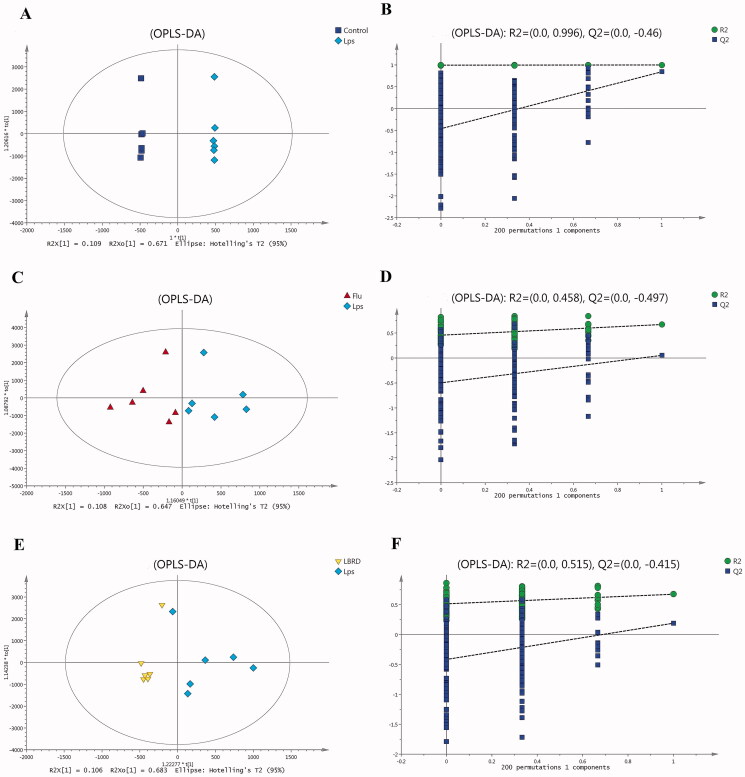 Metabolomic analysis of mPFC samples. (A) OPLS-DA score plot in the control and model groups (R2=0.981, Q2=0.844). (B) Permutation test in the control and model groups (R2=0.998, Q2=–0.46). (C) OPLS-DA score plot in the model group and LPS + Flu groups (R2=0.755, Q2=0.0524). (D) Permutation test in the model group and LPS + Flu group (R2=0.458, Q2=–0.497). (E) OPLS-DA score plot in the model group and LPS + LBRD group (R2=0.789, Q2=0.191). (F) Permutation test in the model group and LPS + LBRD group (R2=0.515, Q2=–0.415).