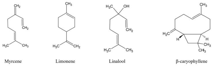 Terpenes found in C. sativa.