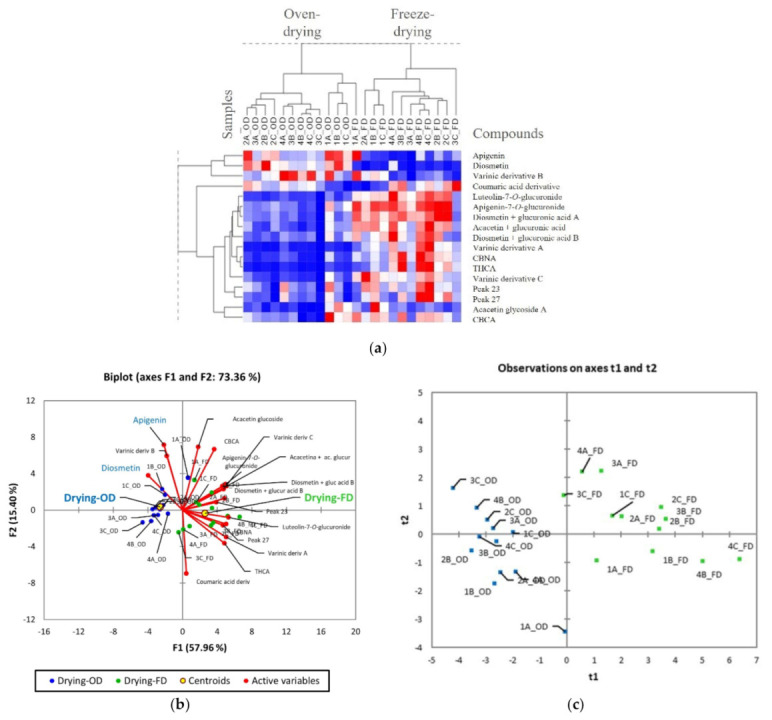 Main results from multivariate statistical analysis on quantification data: (a) HC based on Pearson distances and heat-map visualization (24 samples × 17 compounds); (b) biplot of the principal component analysis relative to the distribution of the cannabis samples and target compounds according to the methods of drying, growth stages, and land plots (OD and FD samples are highlighted in blue and green, respectively); and (c) score plot of partial least squares discriminant according to the method of drying.
