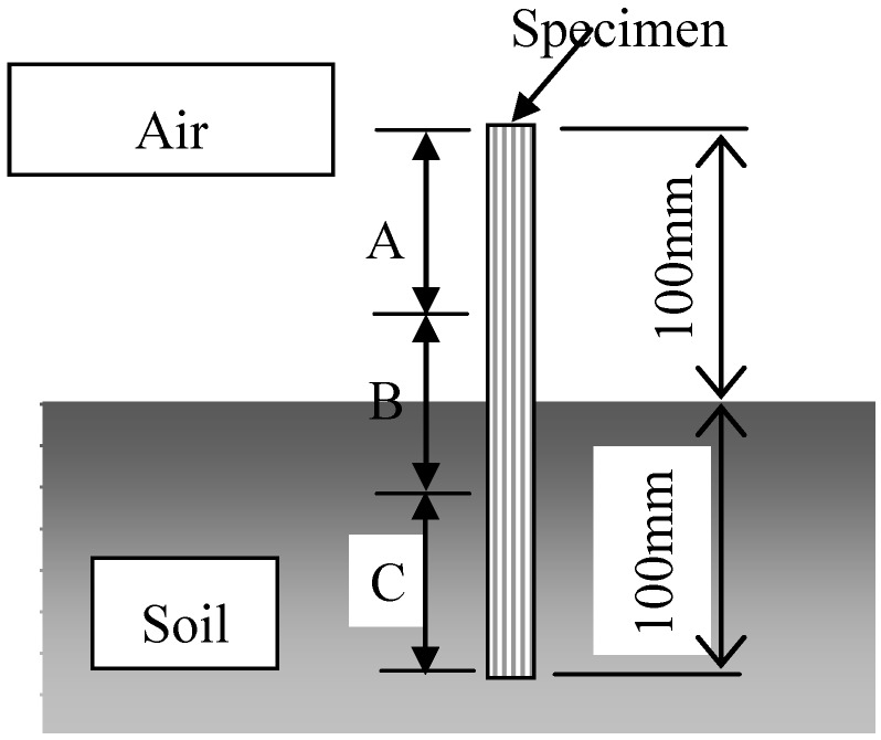 Schematic illustration of the biodegradable test (Condition 2).