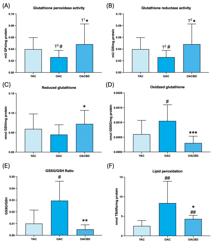 Oxidative stress parameters in total blood cells in young adult control (YAC) (2 months), old adult control (OAC) (15 months), and old adult CBD (OACBD) (15 months). (A) Enzymatic activity of glutathione peroxidase (GPx) in mU GPx/mg protein. (B) Enzymatic glutathione reductase (GR) activity in mU GR/mg protein. (C) Reduced glutathione (GSH) concentration in nmol GSH/mg protein. (D) Oxidized glutathione (GSSG) concentration in nmol GSSG/mg protein. (E) GSSG/GSH ratio. (F) Lipid peroxidation in nmol TBARs/mg protein. Each column represents the mean ± standard deviation (SD) of the values corresponding to the number of animals used in each experimental group (YAC, N = 11; OAC, N = 15; OACBD, N = 14). * p < 0.05; ** p < 0.01; *** p < 0.001; T1* p = 0.057; T2* p = 0.058 with respect to the OAC group. # p < 0.05; ## p < 0.01; T2# p = 0.058 with respect to the YAC group.