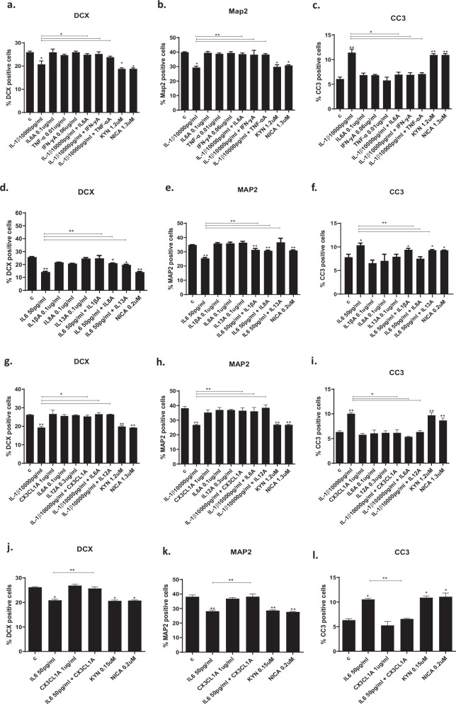 Treatment of hippocampal cells with antibodies against specific cell cytokines.a–c Treatment of cells with IL1β (10,000 pg/ml) and IL6A (0.1 ug/ml), IFNγA (0.06 ug/ml) and TNFαA (0.01 ug/ml) prevented the IL1β-induced decrease in DCX + and MAP2 + cells and increase in CC3 + cells. Treatment of cells with KYN (1.2 uM), NICA (1.3 uM), at the same concentration as when measured in the supernatant, decreased DCX + , MAP2 + cells and increased CC3 + cells. d–f Treatment of cells with IL6 (50 pg/ml) and IL1βA (0.1 ug/ml), IL8A (0.1 ug/ml) or IL13A (0.1 ug/ml) prevented the IL6-induced decrease in DCX + and MAP2 + cells and increase in CC3 + cells. Treatment NICA (0.2 uM) decreased DCX + , MAP2 + cells and increased CC3 + cells vs vehicle. g–i Treatment of cells with IL1β and CX3CL1A (1 ug/ml), IL6A (0.1 ug/ml) and IL12A (0.3 ug/ml) prevented the IL1β-induced decrease in DCX + and MAP2 + cells and increase in CC3 + cells. Treatment of cells with candidate kynurenine pathway metabolites, KYN (1.2 uM) and NICA (1.3 uM), decreased DCX + , MAP2 + cells and increased CC3 + cells. j–l Treatment of cells with IL6 and CX3CL1A (1 ug/ml) prevented the IL6-induced decrease in DCX + and MAP2 + cells and increase in CC3 + . Treatment with KYN (0.15 uM) and NICA (0.2 uM) decreased DCX + , MAP2 + cells and increased CC3 + cells. Two-way ANOVA with Bonferroni’s post hoc test was performed. Data are shown as mean ± SEM; *p < 0.05, **p < 0.01, compared with vehicle treatment or as indicated.
