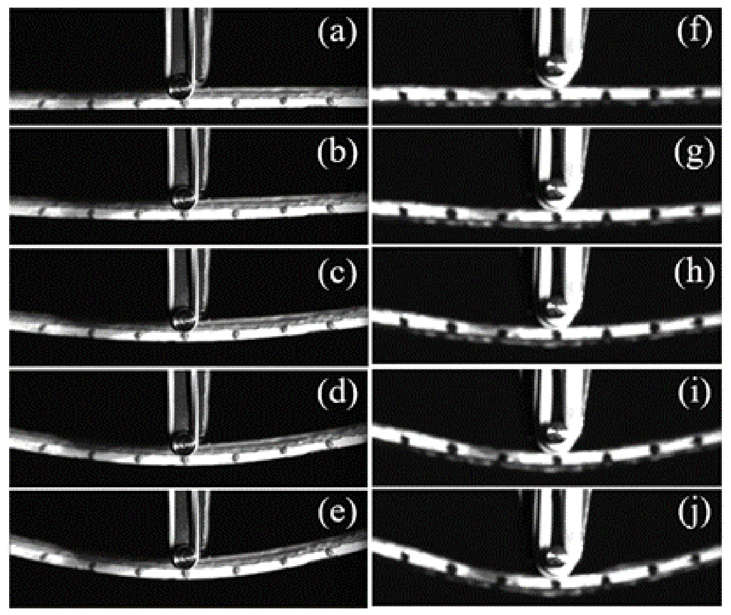 Captured deflection images of flexural test specimen at various times: (a–e) hemp fiber specimen at 0, 190, 380, 570, 760 s, respectively; (f–j) flax fiber specimen at 0, 180, 360, 540, 715 s, respectively.