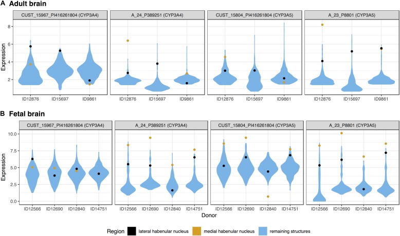 Violin plots of CYP3A4 and CYP3A5 expression in the adult (A) and fetal (B) brains. Expression (log2 intensity) is plotted individually for each probe on the y-axis (gene symbols in parenthesis). Donor identification numbers are marked in the x-axis. Expression in the lateral habenula is marked in black with orange marking the medial division. The distribution of expression across the remaining brain regions is shown in blue.