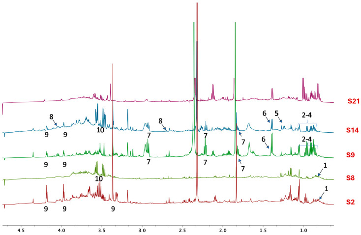 High-field resonances for spectra of samples S2, S8, S9, S14, and S21 were acquired in D2O using the AU_WATERSC pulse program. (1) Fatty acids [37], (2) valine [34,38], (3) isoleucine [34,39], (4) leucine [34,40], (5) lactate [34,41], (6) alanine [34], (7) GABA [42], (8) malic acid [43], (9) choline [34], (10) glycerol and its derivatives [44].