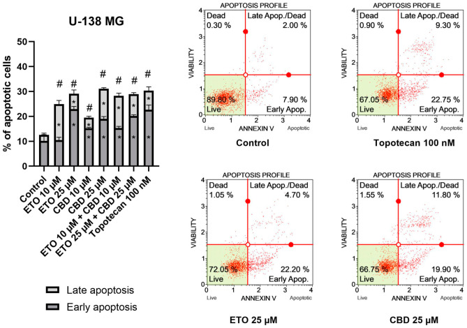 The impact of ETO, CBD, and their combinations on apoptosis in the U-138 MG cell line following 24 h of treatment: The data are expressed as the mean ± SEM, derived from two separate experiments; (*) indicates statistically significant differences compared to the control group for early/late apoptosis, while (#) above the bar indicates statistically significant differences compared to the control group for total apoptotic cells, with p < 0.05. Representative histograms show the results obtained for control (DMSO-treated cells—negative control), 100 nM topotecan (positive control), 25 μM ETO, and 25 μM CBD. Live cells are shown in the lower-left quadrant of the scatterplot, whereas early-apoptotic cells and late-apoptotic cells/dead cells are shown in the lower-right and upper-right quadrants of the scatterplot, respectively. Dead cells are presented in the upper-left quadrant of the scatterplot.