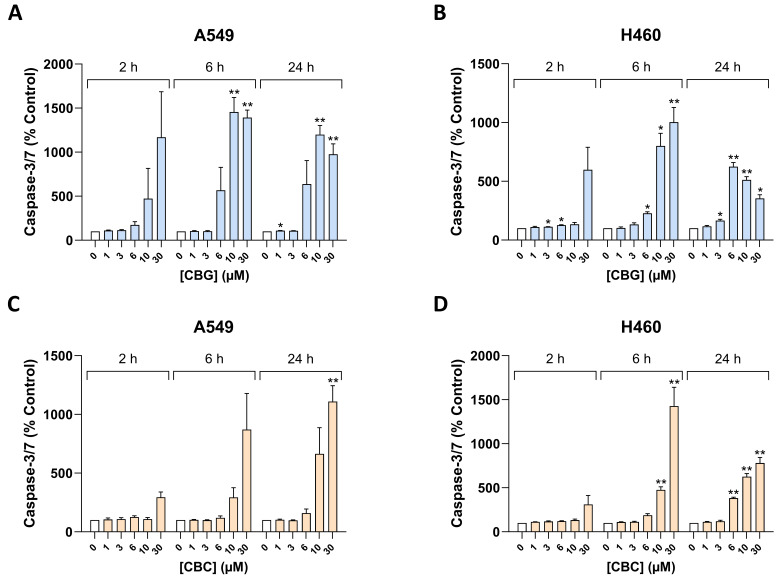 Concentration- and time-dependent effect of CBG (A,B) and CBC (C,D) on caspase-3/7 activity in A549 and H460 cells. Cells were incubated with the respective cannabinoid at the indicated concentrations for the indicated times. Data were obtained using caspase-3/7 activity assays. All percentage values shown refer to the respective time-matched vehicle control, which was set to 100%. Data represent the mean ± SEM of 3 biological replicates, each performed in technical triplicate. * p ≤ 0.05, ** p ≤ 0.01 vs. corresponding vehicle control; statistical analyses were performed on log-transformed, blank-corrected luminescence data using RM one-way ANOVA with Dunnett’s post hoc test.