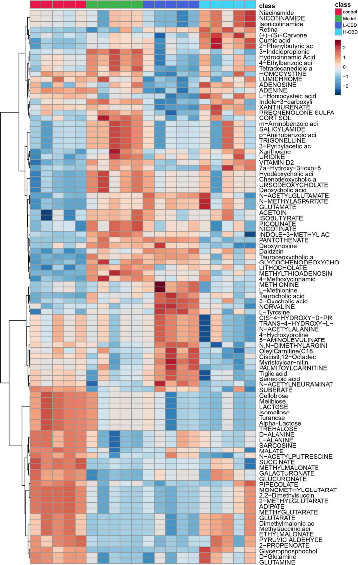 Differential metabolites abundance analysis. A change from blue to red indicates an increase in the levels of metabolite.