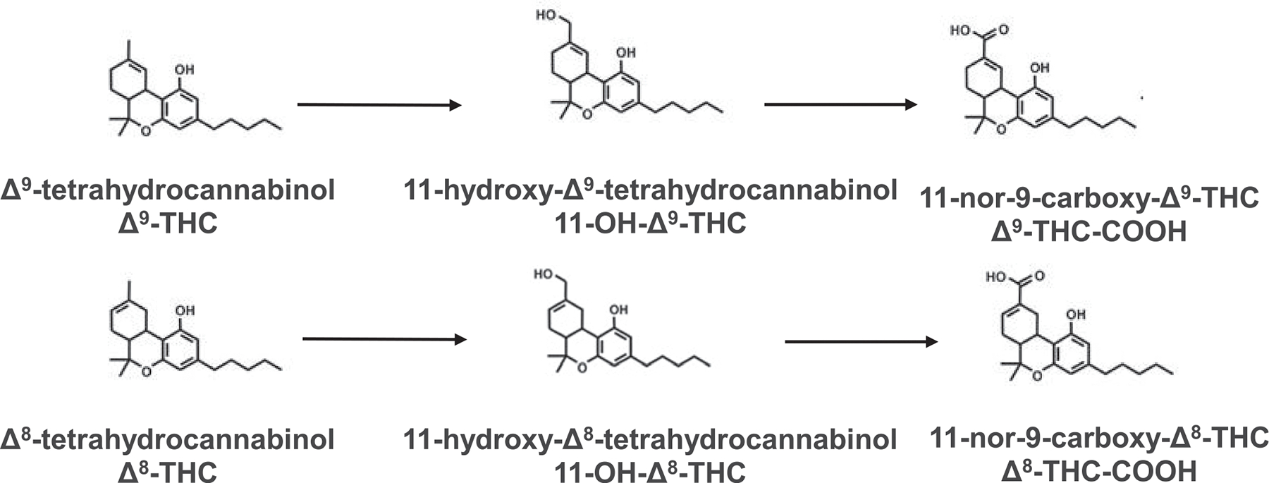 Chemical structures of Δ9-THC, Δ8-THC, and their metabolites.