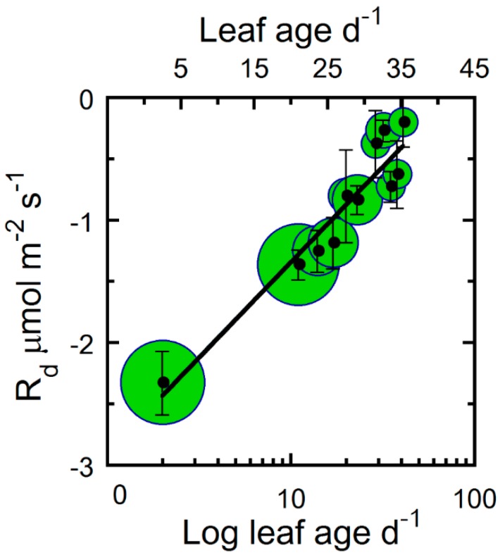 The leaf respiration rate (Rd) of hemp leaves as a function of leaf age. The log base of leaf age and leaf age (primary and secondary x-axis, respectively). Binned averages per three-day collection sequence (means ± SE), where samples were pooled for treatments and crown position, and sample size in bins is indicated by the bubble diameter (n = 3–18 for Rd). Solid line is a linear regression fitted to the entire data set.