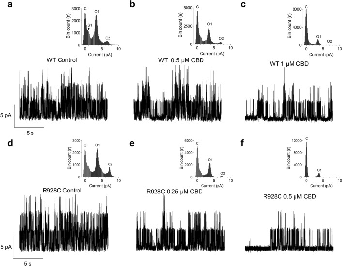 The effect of CBD on single WT and mutant (R928C) KCNT1 channels. Single WT (a–c) and mutant channel currents (d–f) were recorded at 0 mV in inside-out patches under control conditions and in the presence of the indicated amounts of CBD in the bath. The insets show the all-point amplitude histograms of the corresponding traces. C denotes the closed state, O1 and O2 are open states corresponding to the opening of one or two KCNT1 channels, whereas S1 is a substate.