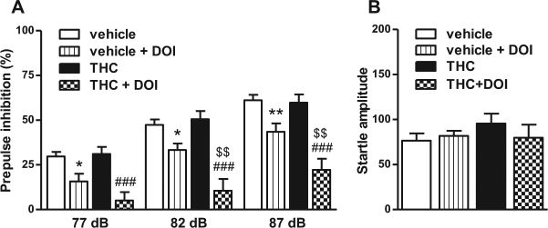Chronic THC increases the disruption of PPI induced by the 5-HT2AR agonist (±)-DOI. a Chronic THC exacerbated the (±)-DOI-induced PPI disruption (three-way repeated measures ANOVA: THC × (±)-DOI; F(1,51) = 6.48, p < 0.05; n = 8–16). Benjamini-Hochberg’s post hoc comparisons: *p < 0.05, **p < 0.01 vs. vehicle. ###p < 0.001 vs. THC, $$p < 0.01 vs. vehicle-DOI (see Supplementary Table 3 for further details on ANOVAs). b No differences were found in the startle amplitude among groups. Bars represent mean ± SEM
