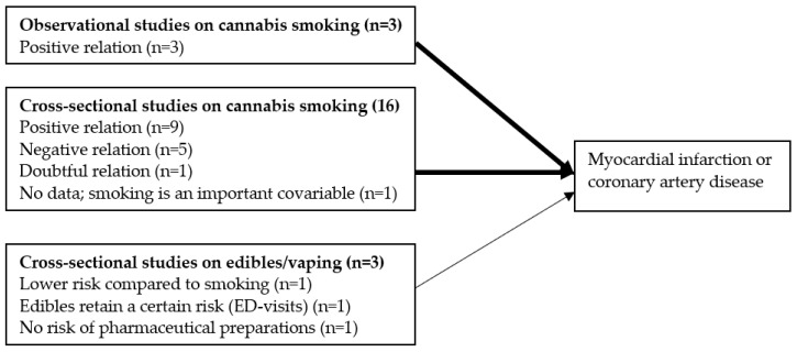 Main findings on the relationship between cannabis use and the risk for MI (number of studies between parenthesis). The thinner arrow reflects the smaller effect size of vaping/edibles compared to smoking cannabis.