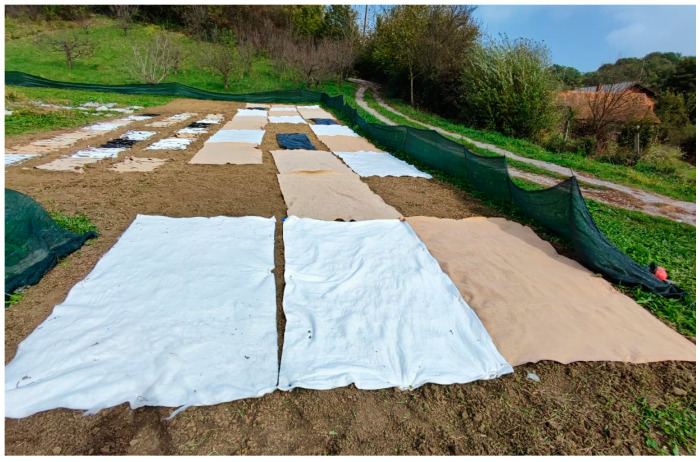 The winter field experiment with laid nonwoven mulch blends.