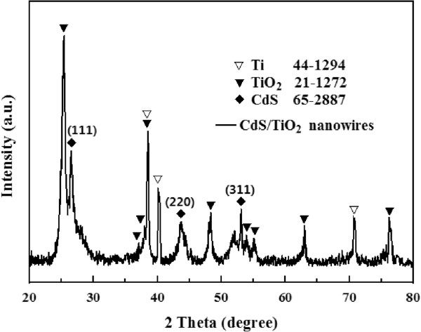 XRD patterns of the as-prepared heteronanostructure of CdS QDs on TiO 2 NWs.