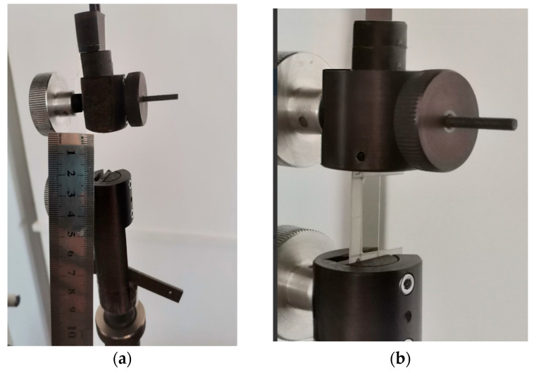 Distance between the grippers (measuring length) (a); installed sample of cellulose fiber in the grippers (b).