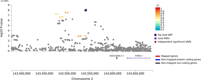Association of stimulant dependence with SNPs located between LRP1B and KYNU in the African American discovery sample.SNPs are color-coded according to the correlation coefficient (r2) in the 1000 Genomes African reference panel with the top-ranked SNP, rs6721393. Rs6721393 was nearly genome-wide significant (P = 3.13 × 10−7) after meta-analysis with the replication sample.