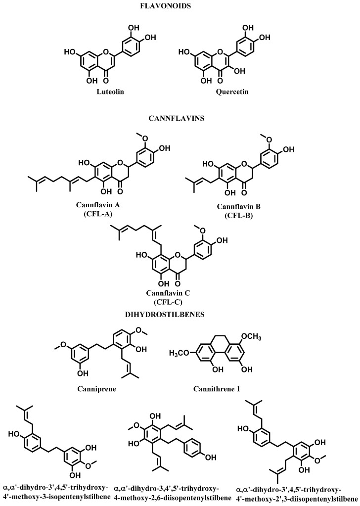 Polyphenols in Cannabis sativa.