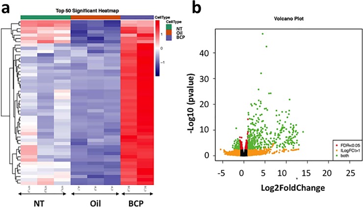 Results of RNA sequencing of post-surgery 17 hours skin and intact skin.Heatmap showing the top 50 significant gene expressions in the skin exposed to BCP (n = 2) or oil (n = 3), 17 to 18 hours post-surgery (inflammation stage), and in the skin of mice without skin excision (NT group) (n = 3). Comparison between BCP vs. oil (a) showed a clear difference between BCP and Oil. (b) Volcano plot from the comparison between BCP vs. Oil. Y-axis shows log10 (p value) and X-axis shows log2 fold change value.