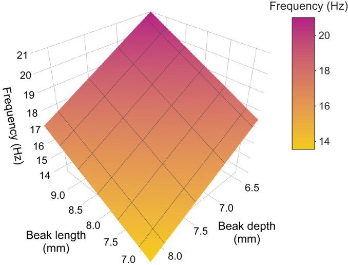 Bilinear least-squares regression of absolute beak length and depth against average beak opening–closing frequency during feeding on canary seeds (R²=0.1508) for illustration purpose. The colour gradient represents the values of frequency for a given beak length and depth. Black lines represent the grid lines for the beak length and beak depth axes.