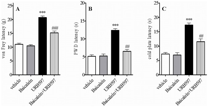 Effect of baicalein, an antioxidant 12/15-lipoxygenase inhibitor, on the behavioral effects of URB597 (200 µg) on mechanical allodynia (A), thermal hyperalgesia (B) and cold allodynia (C) in CCI rats.Experiments were conducted 7 days after the CCI. Baicalein was administered 15 min before URB597 and behavioral evaluations were made 30 min after the last administration. The dose of baicalein used for antagonism of URB597 had no effect on allodynia and hyperalgesia per se. Drugs were given i.t. in a volume of 10 µl. Data represents mean values ± SEM (n = 8). Statistical analyses were performed with one-way ANOVA with Bonferroni as post test. **p<0.01; ***p<0.001 versus vehicle-treated rats (veh); ##p<0.01 and ###p<0.001 versus URB597-treated rats.