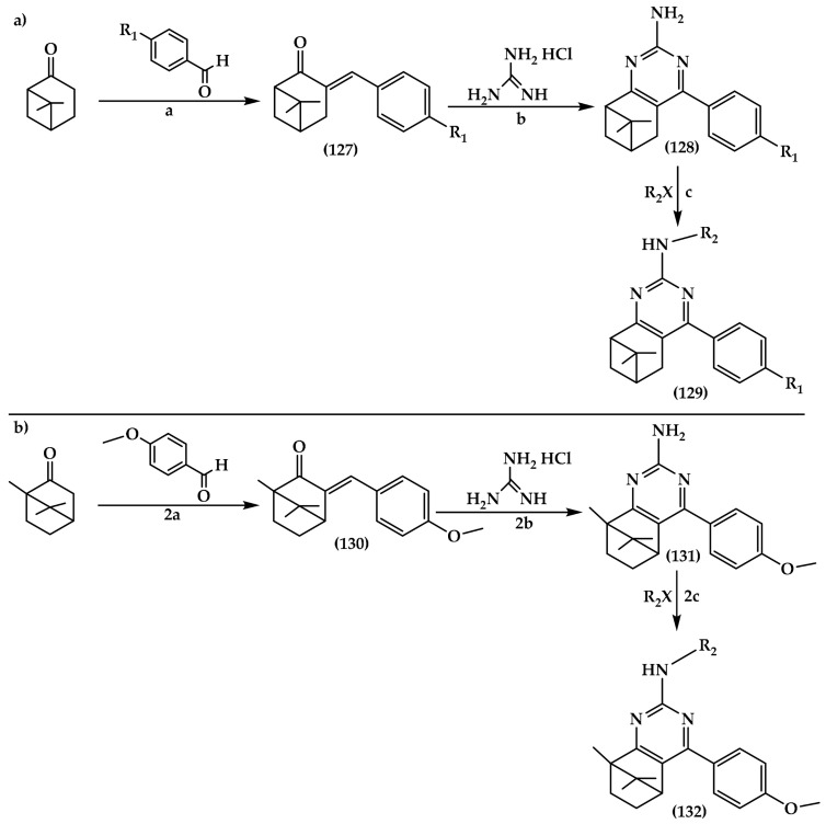 Synthesis of pyrimidine amines derivatives with bicyclic monoterpene units: (a) pinanyl pyrimidine amines derivatives. Reagents and conditions: (a) NaOCH3, or t-BuOK, t-BuOH, reflux 6–24 h, 60.5–85.5%; (b) NaOH, t-BuOH or THF, reflux, 10–30 h, 35.5–82.5%; (c) DIPEA or NaH, THF, 65 °C, 3 h, 40–79.8%; and (b) camphoryl pyrimidine amine derivatives. Reagents and conditions: (2a) t-BuOK, t-BuOH, reflux, 6 h, 56.8%; (2b) NaOH, t-BuOH, reflux, 10 h, 30.8%; and (2c) DIPEA, THF, 65 °C, 3 h, 39.1–73%.