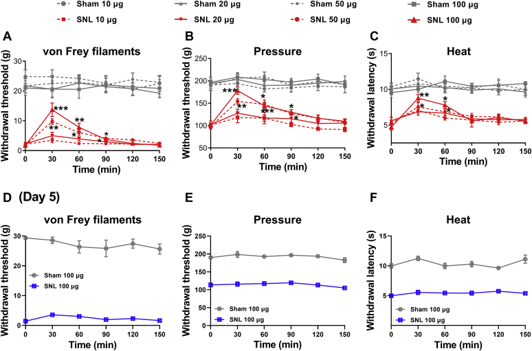 CB2 activation at the spinal cord level attenuates pain hypersensitivity induced by nerve injury.A–C, time course of the effect of intrathecal injection of 10 to 100 μg JWH-133 on the paw withdrawal thresholds tested using von Frey filaments (A; 50 μg: p < 0.001, F(1.88,13.14) = 26.83; 100 μg: p < 0.001, F(1.26,8.84) = 22.82), a pressure stimulus (B; 50 μg: p < 0.001, F(2.52, 17.61) = 19.68; 100 μg: p < 0.001, F(2.65,18.54) = 26.30), and a heat stimulus (C; 50 μg: p = 0.0017, F(2.90,20.30) = 7.40; 100 μg: p < 0.001, F(2.97,20.81) = 10.95) in rats 2 to 3 weeks after sham or SNL surgery (n = 8 animals per group). Data are expressed as means ± SEM. ∗p < 0.05, ∗∗p < 0.01, ∗∗∗p < 0.001, compared with the respective baseline before drug injection (time 0; repeated measures ANOVA followed by the Dunnett’s post hoc test). D–F, lack of an effect of intrathecal injection of 100 μg JWH-133 on paw withdrawal thresholds tested using von Frey filaments (D), a pressure stimulus (E), and a heat stimulus (F) in rats 5 days after sham or SNL surgery (n = 7 rats per group). CB2, Type-2 cannabinoid receptors; SNL, spinal nerve ligation.