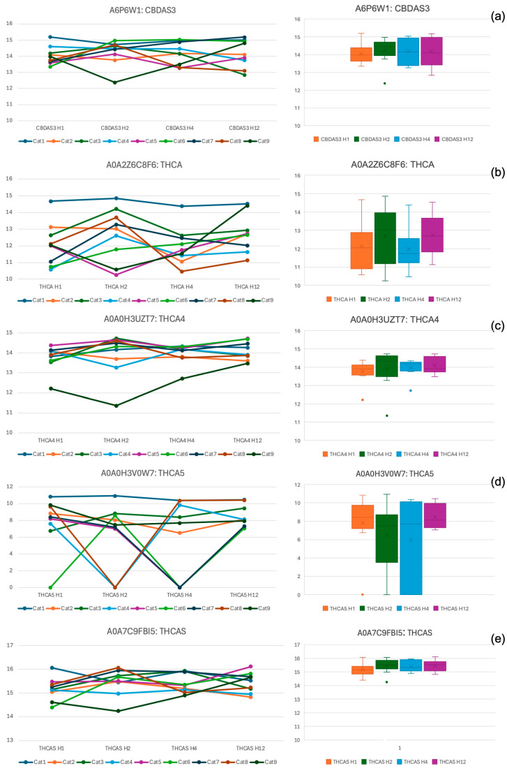 Line graphs illustrating the concentrations of five cannabis-related proteins (CBDAS3 (a), THCA (b), THCA4 (c), THCA5 (d), and THCAS (e)) in each cat 1 h (H1), 2 h (H2), 4 h (H4), and 12 h (H12) after administering 8 mg/kg of CBD oil. Box plots presenting the median concentrations of the same five cannabis-related proteins (CBDAS3 (a), THCA (b), THCA4 (c), THCA5 (d), and THCAS (e)), along with their interquartile ranges (IQR), across the four timepoints (1, 2, 4, and 12 h). The median concentrations remained consistent over time, with no statistically significant differences observed at any post-administration timepoint (p > 0.05).