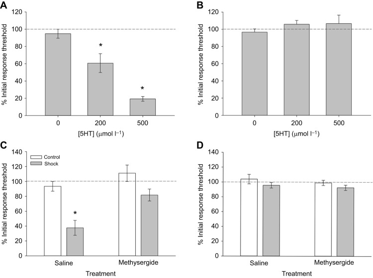 Role of 5HT in mediating the sensitizing effects of shock treatment. (A) Injection of increasing concentrations of 5HT produces sensitizing effects on non-nociceptive response thresholds that are similar to the effects of shock treatment (*P<0.005; 0 µmol l−1, N=10; 25 µmol l−1, N=10; 50 µmol l−1, N=11). (B) These same 5HT injections had no effect on responses to nociceptive stimuli. (C) Methysergide reduces the effect of shock treatment (N=9) on response threshold to non-nociceptive stimuli compared with saline-injected animals (N=9) (*P<0.005). Injection of methysergide (N=9) or saline (N=13) without shock has no effect on response threshold. (D) Methysergide has no effect on responses to nociceptive stimuli in either the shocked or non-shocked (control) group.