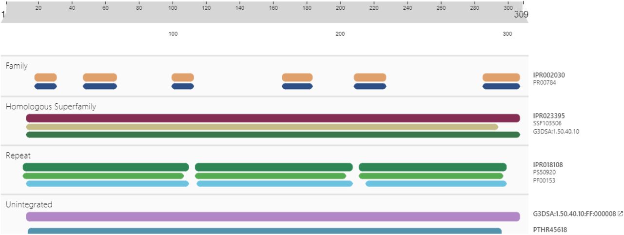 Domain analyses of human UCPs, domains are represented by different colors like as Mit_uncoupling_UCP_like by yellow and mitochondrial brown fat uncoupling protein signature by blue color