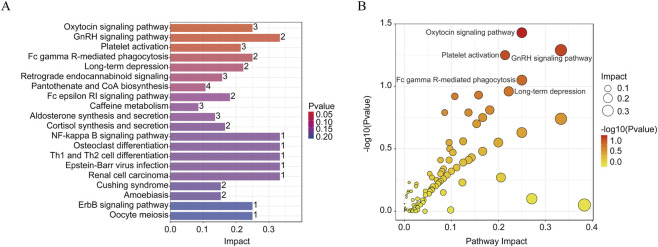 Panel A shows a horizontal bar chart ranking biological pathways by impact, with color indicating P-value and values labeled. Panel B displays a bubble plot of pathway impact versus negative log10 P-value, with bubble size indicating impact and color reflecting significance.