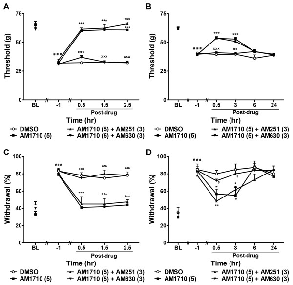The cannabilactone AM1710 suppresses chemotherapy-induced mechanical and cold allodynia through a CB2-specific mechanism. AM1710-induced suppressions of cisplatin- (A, C) and paclitaxel- (B, D) evoked mechanical (A, B) and cold (C, D) allodynia were blocked by the CB2 antagonist AM630 (3 mg/kg i.p.) but not the CB1 antagonist AM251 (3 mg/kg i.p.). Data are expressed as mean ± SEM (n = 5-6 per group). ***P < 0.001, **P < 0.01, *P < 0.05 vs. DMSO vehicle, One-way ANOVA followed by Dunnett post hoc test. xxxP < 0.01, xxP < 0.01, xP < 0.05 vs. AM1710 (5 mg/kg i.p.), Bonferroni post hoc test. $P < 0.05 vs. AM1710 (5 mg/kg i.p.), planned t-test. ###P < 0.001 vs. pre-cisplatin/paclitaxel baseline (BL), repeated measures ANOVA.