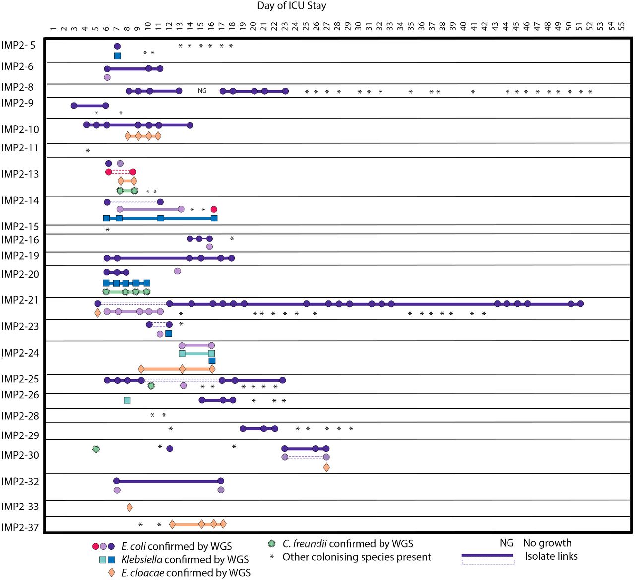 Timeline of colonising species seen during an ICU patient stay. Patients were in the ICU at different times but for illustrative purposes the timeline is the inpatient stay day number. In cases where the same ST is present multiple times in the same patient they are shown as the same colour, but these colours cannot be compared between patients. Isolate links are demonstrated with a solid line. Where this ST is interrupted by another ST, a dashed line is used. In cases where species aside from E. coli, Klebsiella, Enterobacter and Citrobacter were identified, an asterisk is used to signify these colonising isolates.