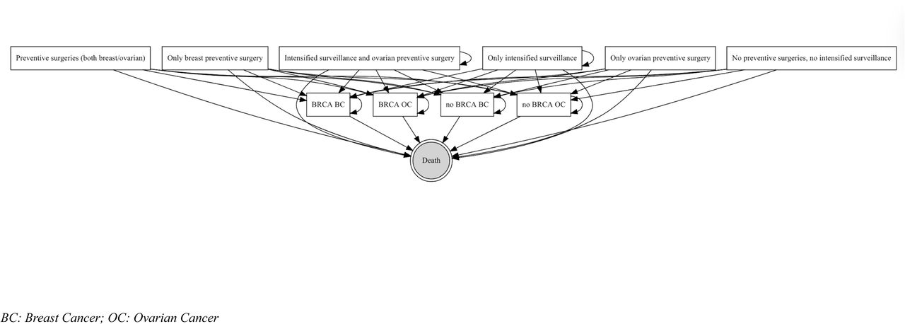 Simulation model Structure A. Markov model component