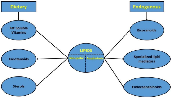 Classification of the studied lipid categories.