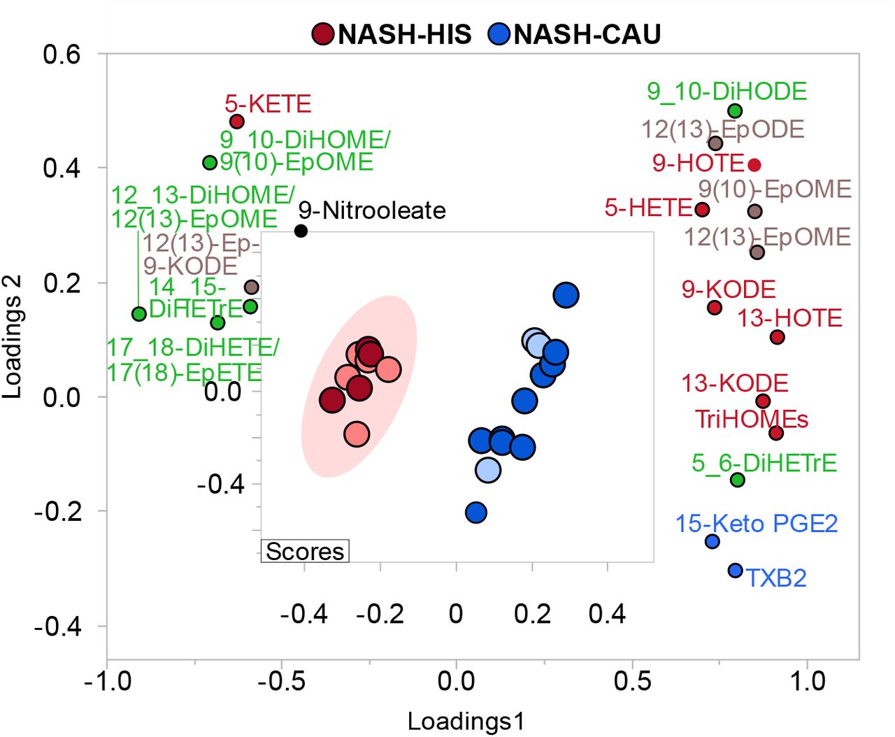 Supervised multivariate clustering model demonstrating ethnicity specific OXLs profile discriminates HIS and CAU with NASH without advanced fibrosis.Score plot for NASH-HIS (red) vs. NASH- CAU (blue) when excluding when excluding stage 3 and 4 fibrosis (n = 9 HIS and 13 CAU). Light color represents subjects from primary cohort and dark color represents secondary cohort. The model was performed on all profiled lipids. Lipid mediators are colored according to their metabolizing enzymes pathways, lipoxygenase, and autoxidation (red); cytochrome p450 epoxygenase (brown); and soluble epoxide hydrolase (green); cyclooxygenase (blue); other (black). The model was validated with leave-one-out cross validation (LOOCV). The (Q2) and (R2) is 0.99 and 0.98, respectively. Details on variable importance into the projection (VIP) scores and cross validation are shown in Table S6. Caucasian; HIS, Hispanics; NASH, Non-alcoholic steatohepatitis; DiHETE, dihydroxyeicosatetraenoic acid; DiHETrE, dihydroxyeicosatrienoic acid; DiHODE, dihydroxyoctadecadienoic acid; DiHOME, dihydroxyoctadecenoic acid; Ep-KODE, epoxyoxooctadecenoic acid; EpETE, epoxyeicosatetraenoic acid; EpODE, epoxyoctadecadienoic acid; EpOME, epoxyoctadecenoic acid; HETE, hydroxyeicosatetraenoic acid; HOTE, hydroxyoctadecatrienoic acid; KETE, keto-eicosatetraenoic; KODE, keto-octadecadienoic acid; PGE, prostaglandin E; TriHOME, trihydroxyoctadecaenoic acid; TXB, thromboxane.