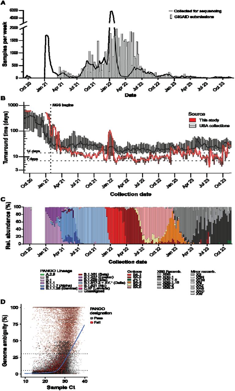 Whole viral genome sequencing of SARS-CoV-2 positive saliva samples. (a) Weekly RT-PCR positive samples (line) and weekly GISAID submissions (bars). (b) GISAID collection to submission turnaround time for surveillance program and other USA samples. Solid line corresponds to median turnaround time. Bottom and top of boxes correspond to Q1 and Q3 values, respectively. (c) Relative weekly abundance of SARS-CoV-2 PANGO lineages. (d) TaqPath Ct values and consensus genome ambiguity of saliva samples. Blue line shows LOWESS smoothing of all samples. (b)