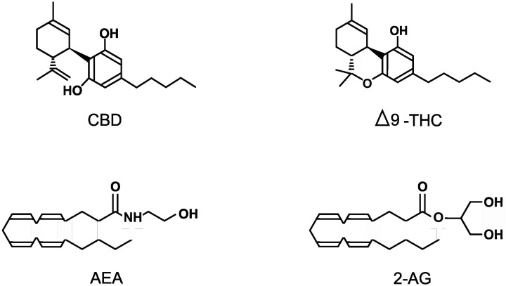 Representations of the structures of the 4 cannabinoids discussed in this review including Cannabidiol (CBD), Δ9-Tetrahydrocannabinol (THC), N-Arachidonoylethanolamine (AEA) and 2-Arachidonoylglycerol (2-AG).