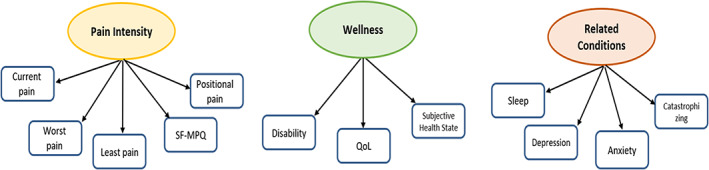 Latent variables. Each colored ellipse represents a latent variable – yellow: pain; brown: related conditions; green: wellness. Blue boxes represent observed variables composited a latent variable.